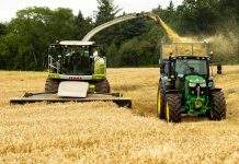 В Украине выгоднее всего выращивать просо, – эксперты