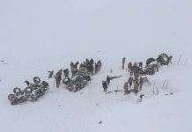 Лавины в Турции забрали жизнь более сорока человек