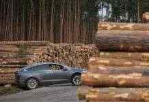 Суд Германии позволил вырубить лес ради строительства завода Tesla
