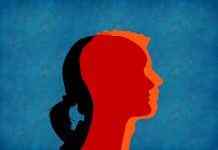 Матрёшка, перо и пиньята: ЛГБТ предвкушают новые эмодзи