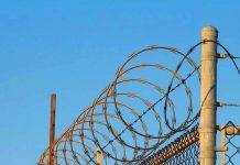 Злочинна безгосподарність