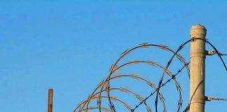 Злочинна безгосподарність