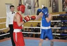 Кращі боксери Кам’янського визначені