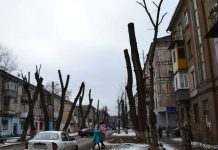 На захист міської рослинності