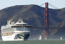 На борту круизного лайнера в США выявили 21 случай коронавируса