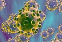 В Черновцах оштрафуют женщину за слухи о коронавирусе