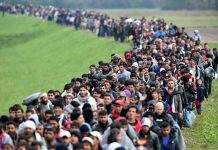 Мигрантам, живущим в Греции, предлагают деньги за возвращение домой