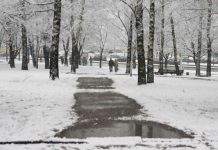 Нынешняя зима в Европе была самой тёплой за всю историю наблюдений