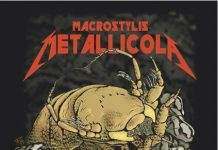 Новый вид ракообразных назвали в честь легендарной группы Metallica