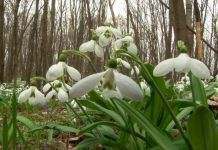 Когда в Украину придёт потепление: синоптики уточнили прогноз