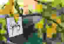 Дождь, снег и весеннее тепло: разнообразие погоды в Украине