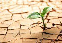 В Украине аномально обмелели реки и водохранилища