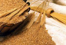Саудовская Аравия впервые купила в Украине 60 тысяч тонн зерна