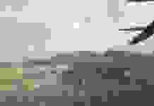 Пожар в зоне ЧАЭС: уровень радиации превышает норму в 16,5 раза