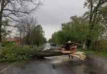 Ураган, дождь, снег и заморозки: Украину накрыл циклон Walli