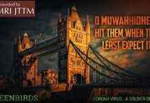 ИГ назвало коронавирус «солдатом Аллаха» в борьбе с Западом