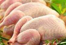 Украине должно хватить курятины: АМКУ пригрозил «Нашей рябе»