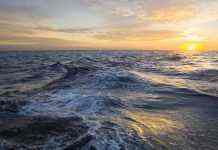 Мировой океан возможно восстановить за 30 лет, – учёные