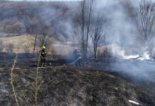 Украину охватили масштабные пожары, – ГСЧС