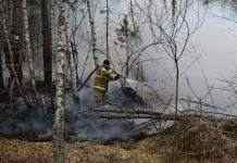 На Житомирщине и Киевщине снова пожары, в столице дым