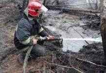 В Житомирской области начался новый пожар, охвативший 200 га