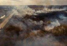 Кабмин предлагает увеличить штрафы за поджог сухостоя, – Шмыгаль