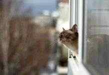 В Украину настоящее тепло придёт на Благовещение, – синоптик