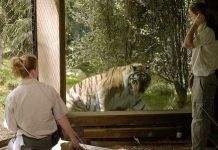 Впервые коронавирус выявили у тигра в зоопарке США, – учёные