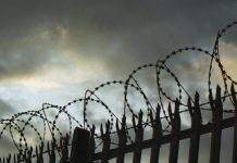 В Офисе президента хотят выпускать заключённых: чем это чревато