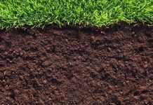 Эксперты прокомментировали принятый закон о продаже земли