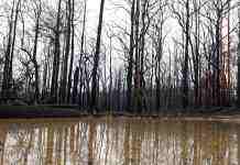 Дожди в Украине прекратили засуху, – Укргидрометцентр