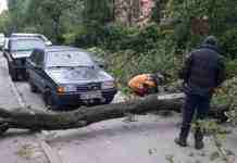 В Украине разбушевалась стихия: ураган, дожди и пылевые бури