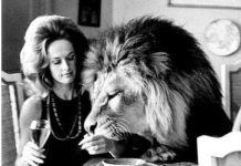 Бабушка актрисы Дакоты Джонсон живет в доме с опасными хищниками