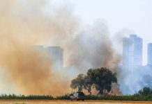 В Израиле из-за экстремальной жары – более тысячи пожаров