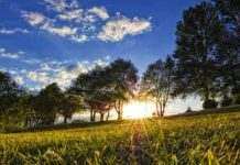 В Украине во второй половине мая возможны заморозки, – Кульбида