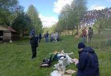 Массовый расстрел людей на Житомирщине: появились подробности