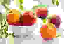 В Украине начался сезон сбора ранних персиков