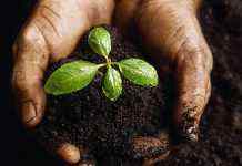 Эксперты за открытие рынка земли, фермеры – категорически против