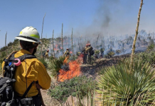 В США бушуют лесные пожары, эвакуированы тысячи людей