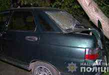 В Винницкой области пьяная женщина сбила на авто четырёх детей