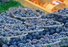 В Украине первая голубика в два раза дороже, чем в прошлом году