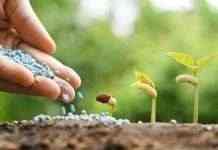 Производители минудобрений требуют ввести импортные квоты