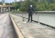 Déjà vu: в Киеве снова был «заминирован» мост «Метро»