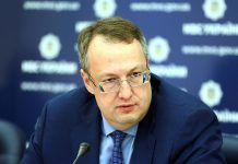 Проверим все версии гибели волонтёра Кучапина, – Геращенко