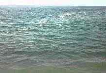 На пляжах Одессы и Затоки море грязное, купаться не советуют