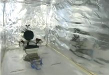 В Нидерландах в морских контейнерах нашли камеры для пыток