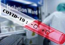 Заболевших коронавирусом в мире уже более 15 миллионов