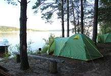 На Днепропетровщине организовали экологический лагерь