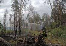 В Луганской области из-за обстрела боевиков вспыхнул пожар