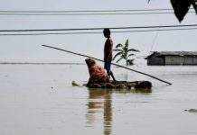 Наводнения: в Индии спасают животных, в Индонезии 15 погибших